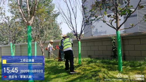 经开区多措并举做好夏季绿化养护工作