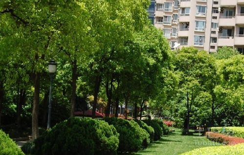 佛山绿化养护公司怎么选？专业服务指南助你做出明智决策
