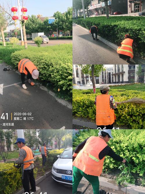绿化养护管理情况