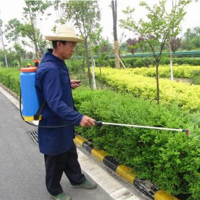 怡轩园林广东绿化养护服务,工厂绿化养护