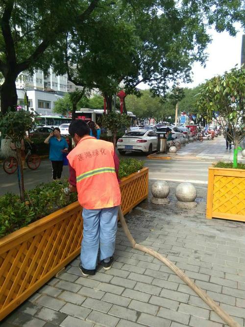 5月30日绿化养护工作汇总