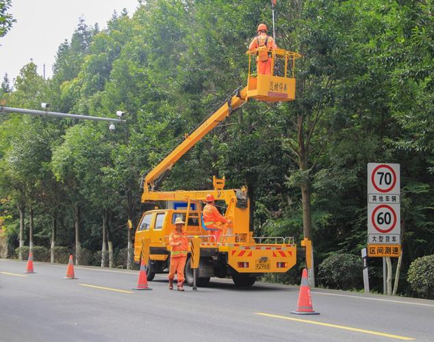 绿化养护，让公路成为亮丽风景线——龙岩市公路事业发展中心绿化养护服务纪实